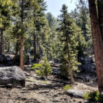 Tahoe Guided Hiking Tours