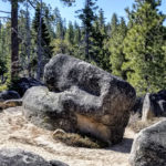 Tahoe Guided Hiking Tours