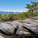 Tahoe Guided Hiking Tours