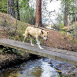 Tahoe Guided Hiking Tours
