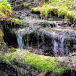 Tahoe Guided Hiking Tours