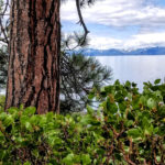 Tahoe Guided Hiking Tours