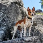 Tahoe Guided Hiking Tours