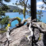 Tahoe Guided Hiking Tours